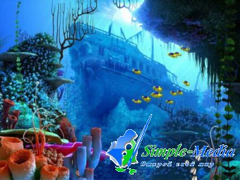 Portable Coral Reef 3D Screensaver 1.0 Build 3